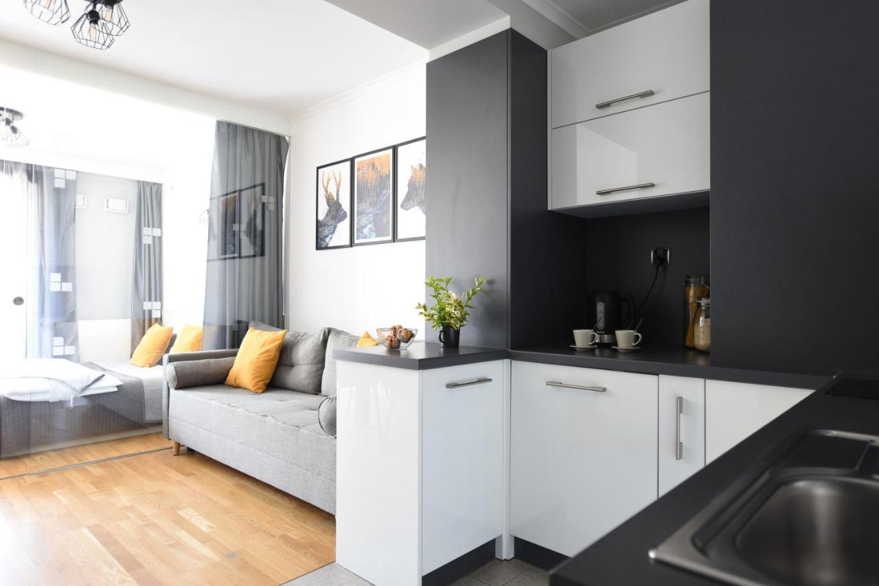 Apartament Przemily - Studio Teczowe Wzgorze 维斯拉 外观 照片