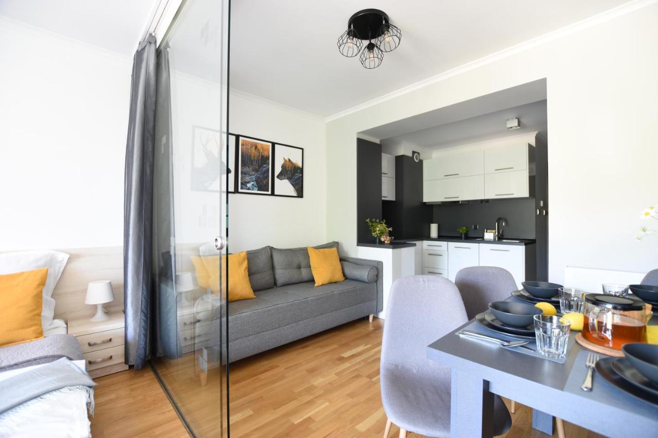 Apartament Przemily - Studio Teczowe Wzgorze 维斯拉 外观 照片